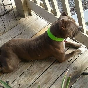 Meet your Posher, Colleen